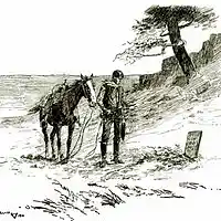 Picture for song 'Carolina Youve Been On My Mind' by artist 'mark bennett'