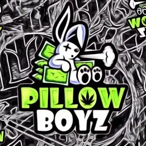 Picture for song 'Pillow Boyz Prod. 301' by artist 'Pillow Boyz Production'