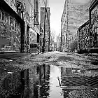 Picture for song 'Back Road Hustlers FRREDL (PusherProductions)' by artist 'PusherProductions'