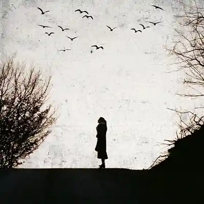 Picture for song '"Birds" Melodic x Pop x Trap Beat' by artist 'SoundDriveRecords'