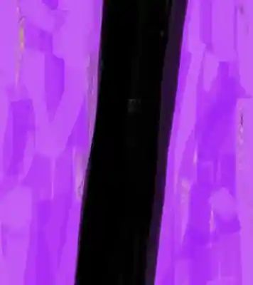 Picture for song 'I'm Stoner & I got the Largest Boner!' by artist 'Big Delicious Thugs'