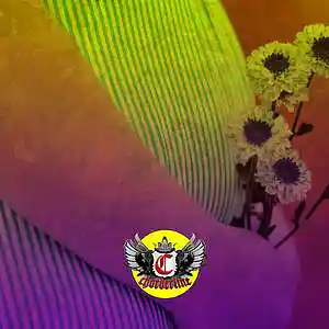 Picture for song 'CONCEPTION (Morray Post Malone Type Beat)' by artist 'Chorderline'