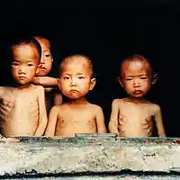 Picture for song 'Lost souls' by artist 'cosmos laguna'