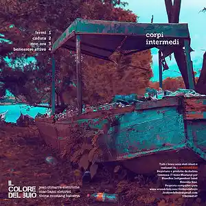 Picture for song 'benessere attivo' by artist 'Il colore del buio'