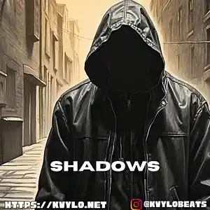 Picture for song 'Shadows' by artist 'kvylo'