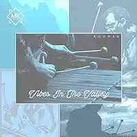 Picture for song 'Vibes In The Valley' by artist 'Mr.Kooman'
