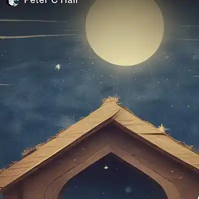 Picture for song 'Christmas is about Jesus (non demo)' by artist 'Peter Hall'