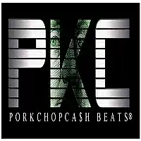 Picture for song 'Trippin off overcounters snippet' by artist 'PorkChop Cash'