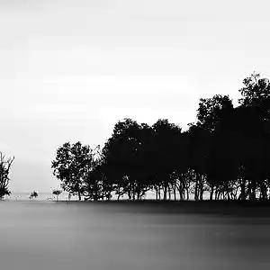 Picture for song 'Sentimento' by artist 'RCB RECORDING STUDIO'