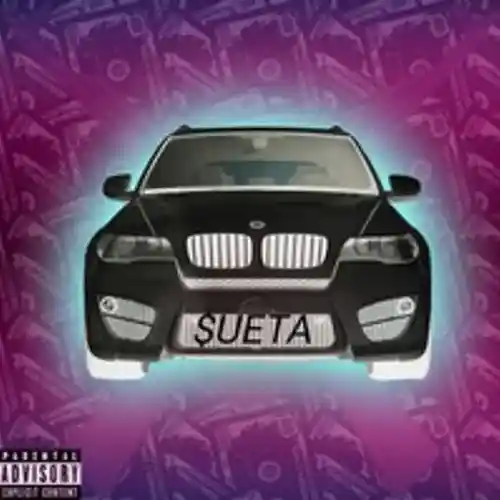 Picture for song 'SON' by artist 'SuitaGG'