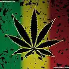 Picture for song 'Jamussy - *Hit*Prod. By Mr. Amazn' by artist 'Simply Complex Music'