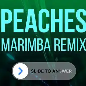 Picture for song 'Sonnerie Peaches (Marimba Remix 2022) - sonneriep' by artist 'SonneriePortable'