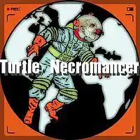 Picture for song 'We're the Aliens' by artist 'Turtle Necromancer'