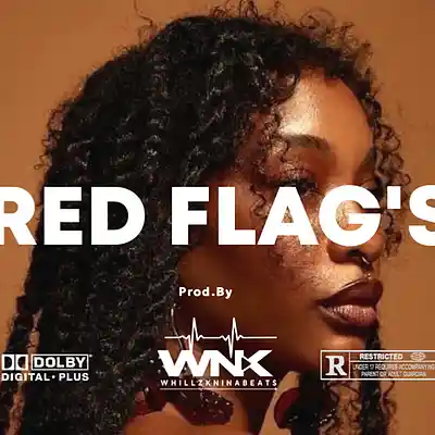 Picture for song 'RED FLAGS' by artist 'Whillzkninabeats'