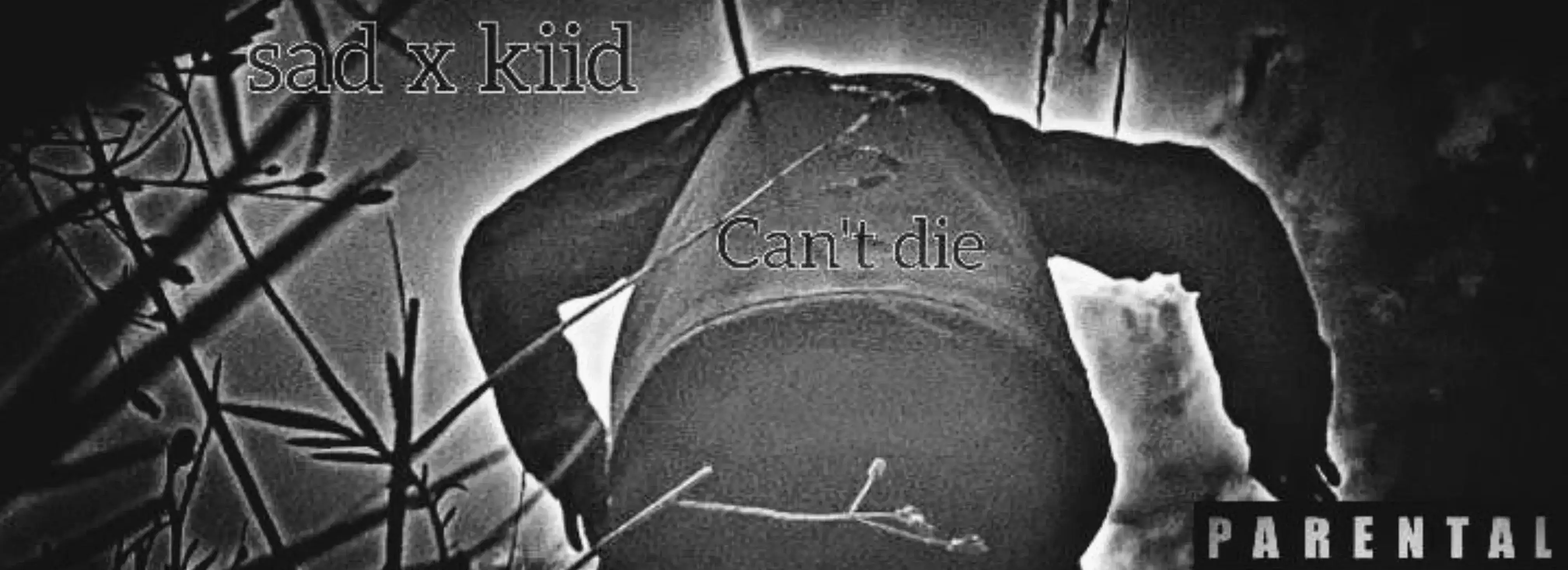 cover pic