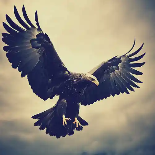cover pic