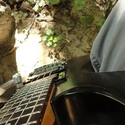 Picture for song 'norma' by artist 'LAMA DINER'