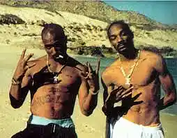 Picture for song 'West Banger' by artist 'Ro Records Beats'
