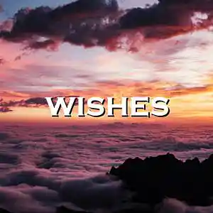 Picture for song 'Wishes' by artist 'SadGlad Music'
