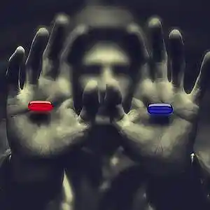 Picture for song 'MonoColor_Hand' by artist 'Symbiotic Crowd'