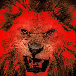 Picture for song 'Roar to be Free (HardCutMix)' by artist 'XL73'