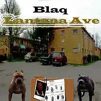 Picture for song 'Blaq - Blame on me' by artist 'Auva Record'