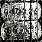 Picture for song 'Death Pill' by artist 'Daisychain Massacre'