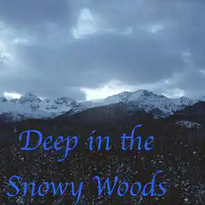 Picture for song 'Deep in the Snowy Woods' by artist 'D E Farmer'
