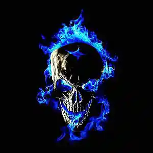 Picture for song 'Life' by artist 'Ex C.S.E'