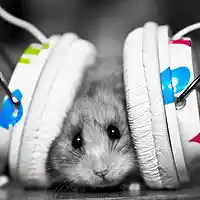 Picture for song 'Killa2thug beatZ-Crazy' by artist 'FLXbeats'