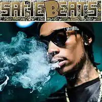 Picture for song 'SANE BEATS - MONEY RAIN !NEW! !DOPE!' by artist 'SaneBeats'