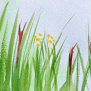 Picture for song 'Super Grass' by artist 'Black Chalk'