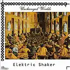 Picture for song 'Elektric Shaker - Pain And Joy' by artist 'Deep-X Recordings'