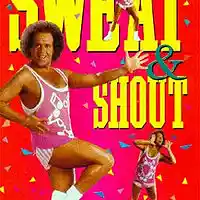 Picture for song 'Richard Simmons VHS Craigslist' by artist 'JoshPranks'