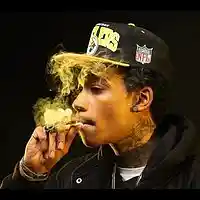 Picture for song 'Pineapple Express' by artist 'Main The Loud Man'