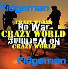 Picture for song 'Crazy World' by artist 'Pidgeman'