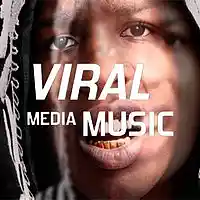 Picture for song 'System Aliester's Beat Tape' by artist 'Viral Media Music'