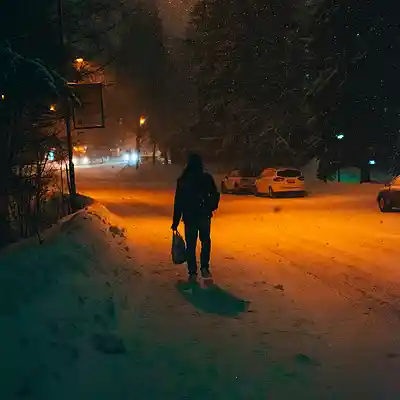 Picture for song '"Snowfall" Beat for Sale' by artist 'whoDeanyBeatz'