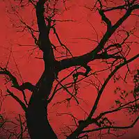 Picture for song 'young' by artist 'WisedUpBeats'