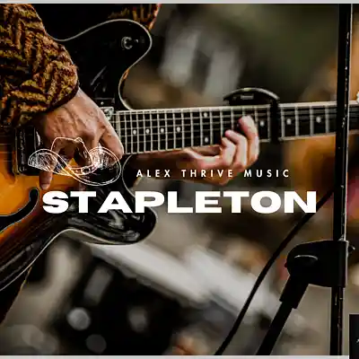 Picture for song 'Chris Stapleton Country Rock Type Beat-Stapleton' by artist 'Alex Thrive Music'