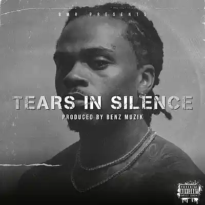 Picture for song 'Gunna Guitar Beat "TEARS IN SILENCE"' by artist 'BenzMuzik'