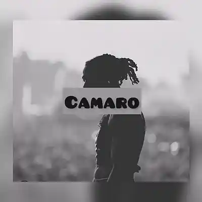 Picture for song 'FREE Dark Melodic Drill Type Beat - "CAMARO"' by artist 'Black Hawk'