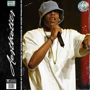Picture for song 'Aesthetics (Jay Z Type Beat)' by artist 'BOGER'