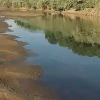 Song picture