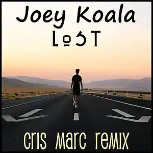 Picture for song 'Lost (Cris Marc Remix)' by artist 'Joey Koala'