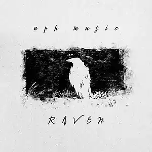 Picture for song 'Raven Atmospheric Trap' by artist 'UPH Music'
