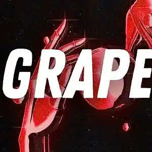 Picture for song 'Grape' by artist 'Xarakirv Music Store'