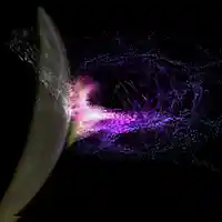 Picture for song '2.needs and wants' by artist 'BGN'