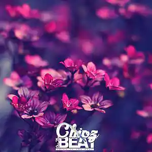 Picture for song 'SOLD* Spin The Block' by artist 'Chipz On The Beat'