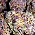 Picture for song 'Lung Killa ft. Whitticus.mp3' by artist 'Dat Cracka Tuna - Krazy Kush Records'